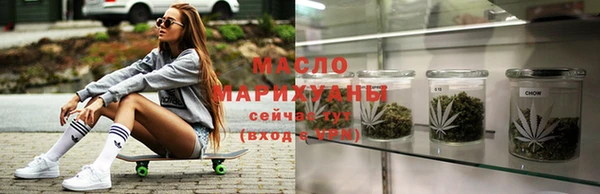 сатива Няндома