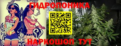 мдпв Ставрополь